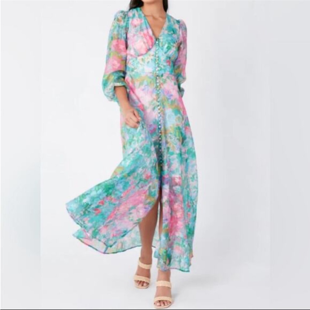 New Abbey Glass Brooke Gown Dress size XS in Vivid Bloom Organza